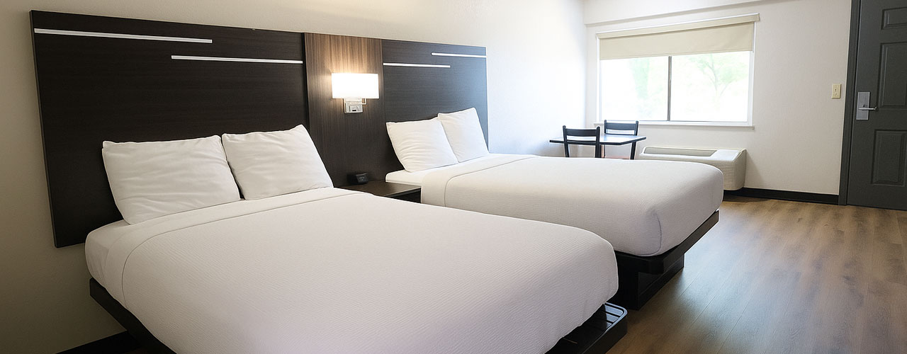 Spacious Standard Double Room Spacious Standard Double Room